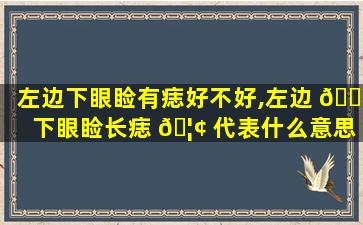 左边下眼睑有痣好不好,左边 🕸 下眼睑长痣 🦢 代表什么意思